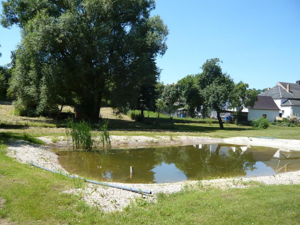 Pension Zum Hirsch Goda Room photo